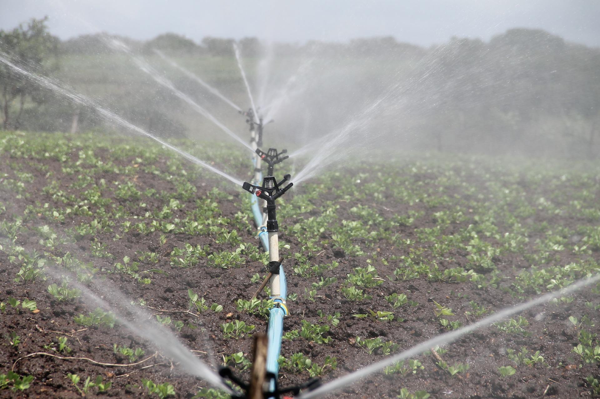 Abwasser für die Landwirtschaft